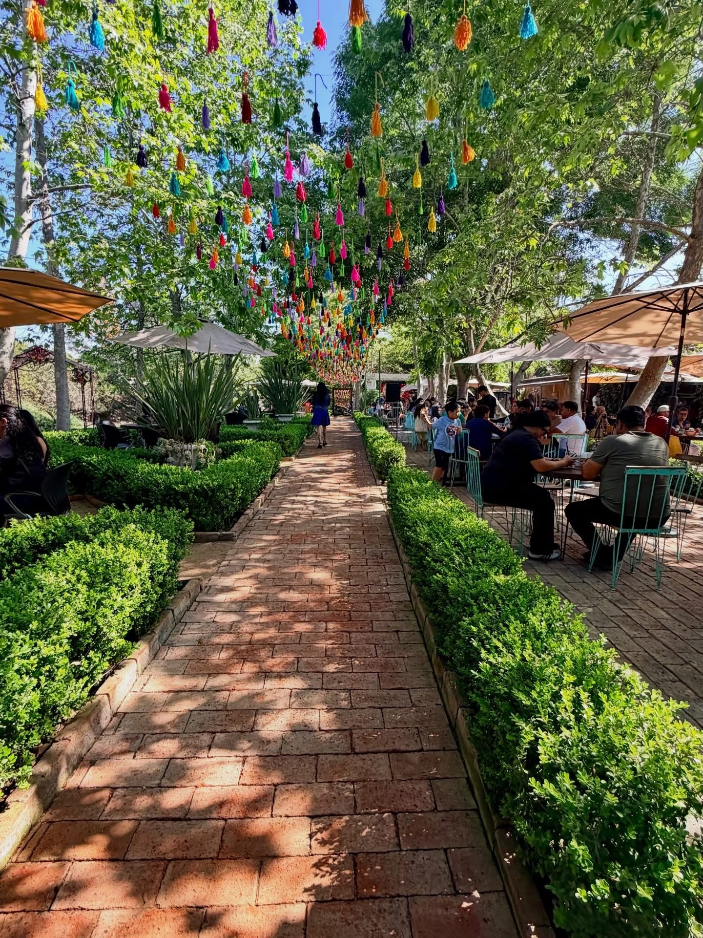 Pasillo del jardín con penachos de colores entre los árboles